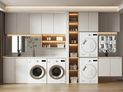 Modern Home Balcony Laundry Space With Washing Machines Storage Cabinets Mirrors And Plants 3d model