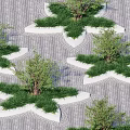 Tree Pit Design with Grass Shrubs and Geometric Paved Ground
