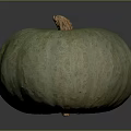 Whole Green Pumpkin With Yellow Spots And Brown Stem Surface Texture