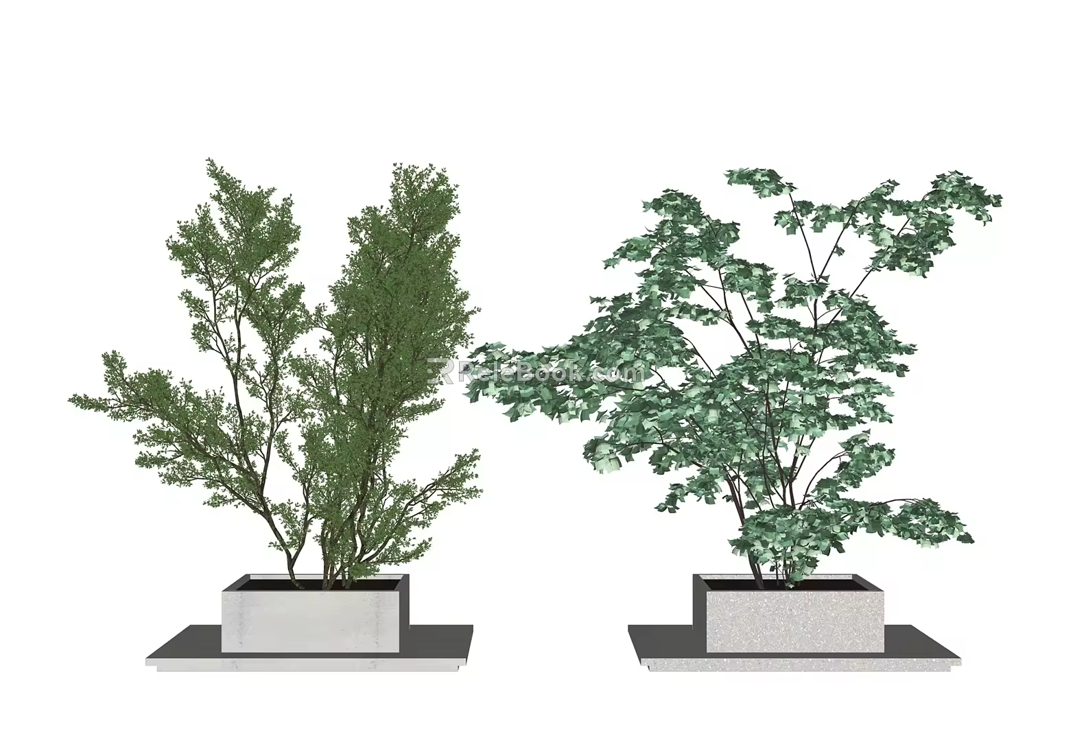 Modern Tree Landscape Tree 3d model