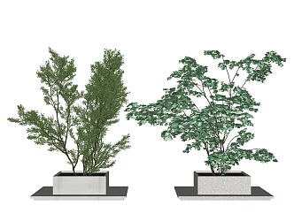 Modern Tree Landscape Tree 3d model
