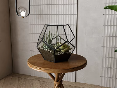 Succulent Bonsai Plant in Geometric Glass Pot on Wooden Table Indoor Decor 3d model