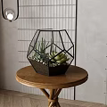Succulent Bonsai Plant in Geometric Glass Pot on Wooden Table Indoor Decor