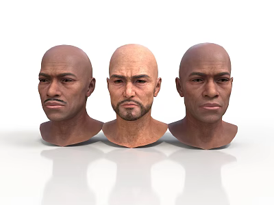 Three Bald Male Head Models Displaying Detailed Realistic Facial Features 3d model