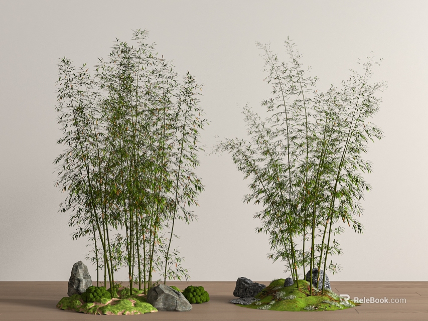 Bamboo Plants With Rocks And Moss Against Light Colored Wall On Wooden Floor 3d model 