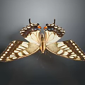 Exquisite Butterfly Showcasing Delicate Wing Structure With Intricate Patterns And Colorful Spots 3d model