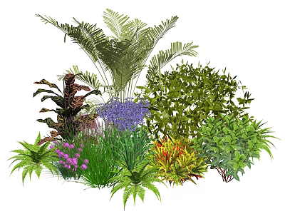 Diverse Garden Plant Combination With Ferns Purple Flowers And Colorful Foliage Shrubs 3d model