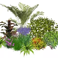 Diverse Garden Plant Combination With Ferns Purple Flowers And Colorful Foliage Shrubs
