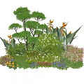 Vibrant Plant Combination With Trees Orange Flowers Purple Blooms And Lush Greenery