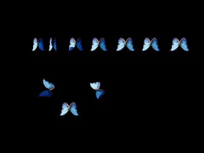 Blue Butterflies Flying on Black Background in Formation and Scattered Arrangement 3d model