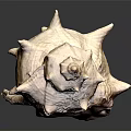 Modern Conch Bone Snail 3d model