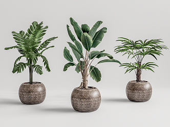 Modern Potted Plant 3d model