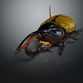 Flying Beetle With Yellow Spotted Back And Large Black Horn Detailed Close Up View