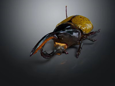 Flying Beetle With Yellow Spotted Back And Large Black Horn Detailed Close Up View 3d model