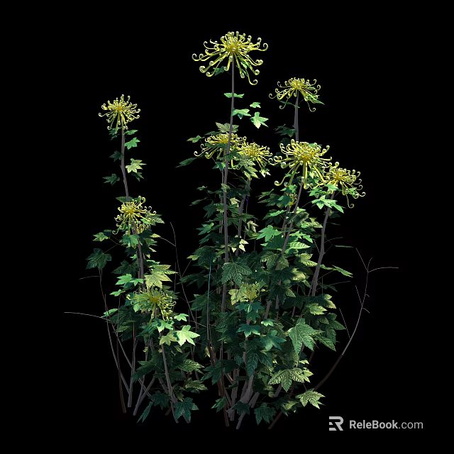 Tall Green Plants With Yellow Flowers Green Leaves And Brown Stems On Black Background 3d model 