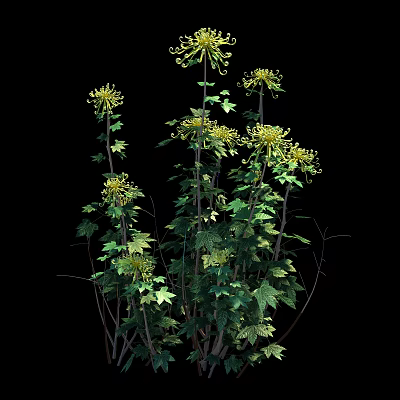 Tall Green Plants With Yellow Flowers Green Leaves And Brown Stems On Black Background 3d model