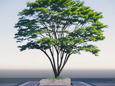 Lush Green Arbor With Multiple Trunks And Stone Base In Outdoor Setting 3d model