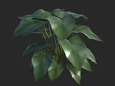 Lush Green Leaf Plant with Yellow Stems in Decorative Vase for Home Interior Decor 3d model