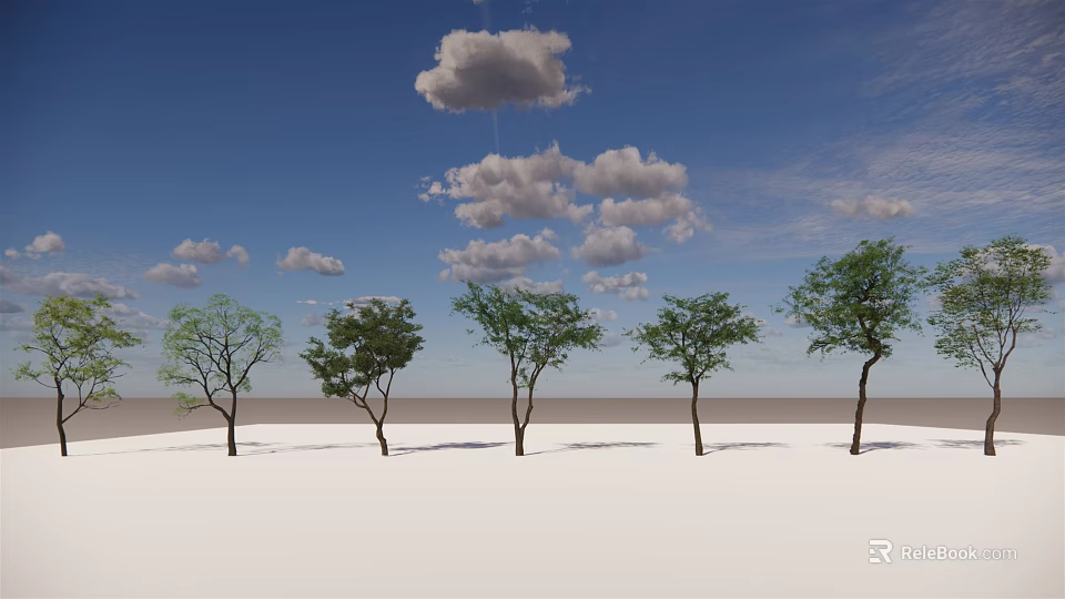 Five Green Arbor Trees Standing On White Ground Under Blue Sky With White Clouds 3d model