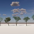 Five Green Arbor Trees Standing On White Ground Under Blue Sky With White Clouds 3d model