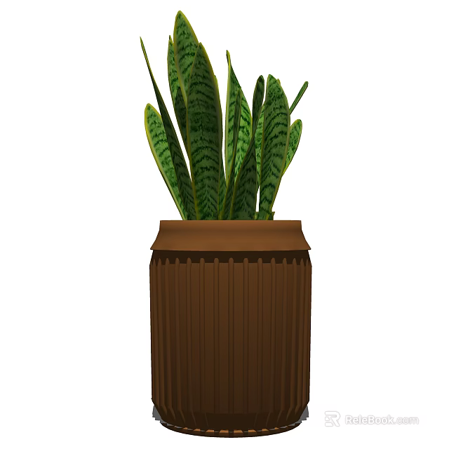 Succulent Plant With Green Striped Fleshy Leaves In Brown Textured Pot For Indoor Decor 3d model 