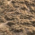 modern grassland desert grassland 3d model