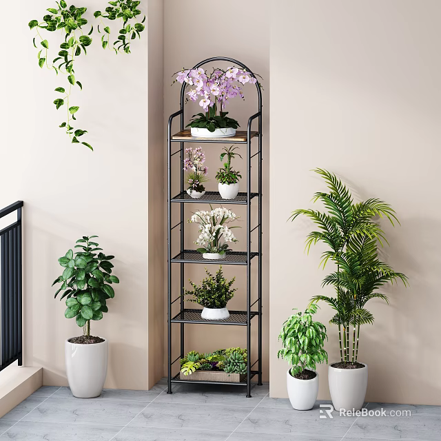 Bonsai and Potted Plants Display On Multi Tiered Shelf With Various Indoor Greenery 3d model 