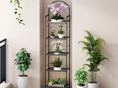 Bonsai and Potted Plants Display On Multi Tiered Shelf With Various Indoor Greenery 3d model