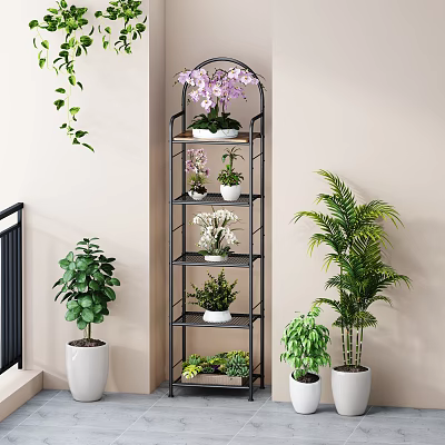 Bonsai and Potted Plants Display On Multi Tiered Shelf With Various Indoor Greenery 3d model
