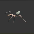 3D Model Light Pink Ant With Transparent Abdomen Long Slender Legs Antennae On Dark Background