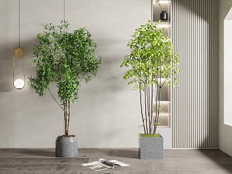 Green plant potted combination 3d model