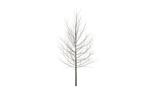 Modern Dead Tree Dead Branch 3d model