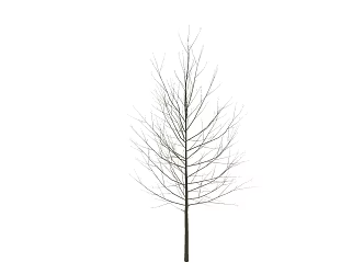 Modern Dead Tree Dead Branch 3d model
