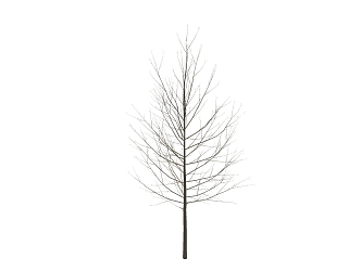 Modern Dead Tree Dead Branch 3d model