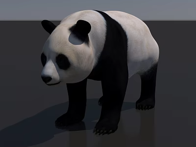 Black And White Reptile Standing On Gray Background With Unique Body Patterns 3d model