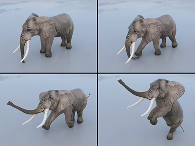 Reptile Figurine Display With Various Poses Including Standing Lifting And Stretching Postures 3d model