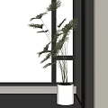 Indoor Potted Plant With Tall Leafy Stems In White Pot By Window Blinds