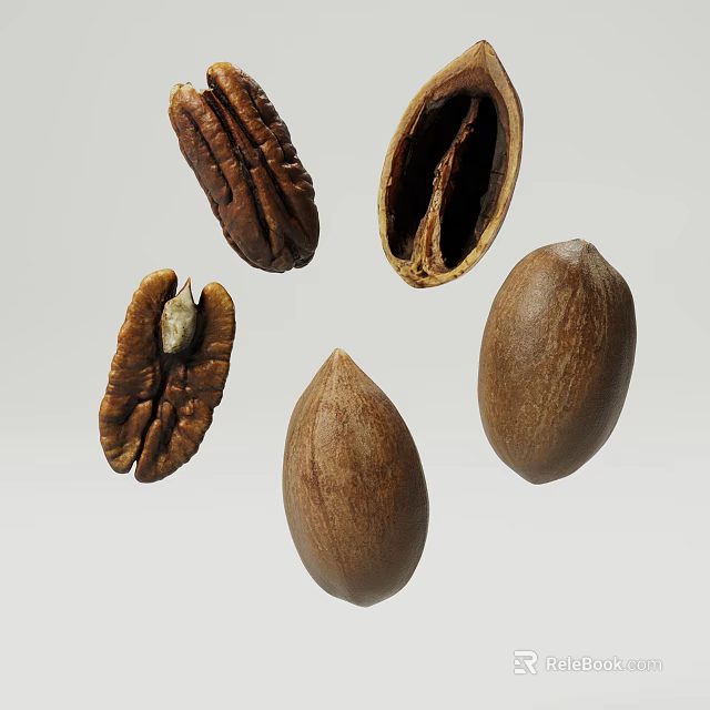 Fresh Natural Pecans Whole And Shelled With Nut Kernels 3d model 