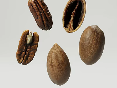 Fresh Natural Pecans Whole And Shelled With Nut Kernels 3d model