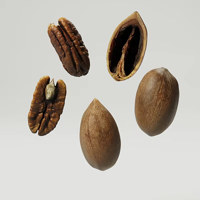 Fresh Natural Pecans Whole And Shelled With Nut Kernels 3d model