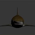 Realistic Brown Shark Model With Sharp Fins And Gray Background Reflection