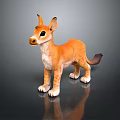 Orange Furred Animal With Large Ears White Underbelly And Black Tail Standing On Shiny Surface
