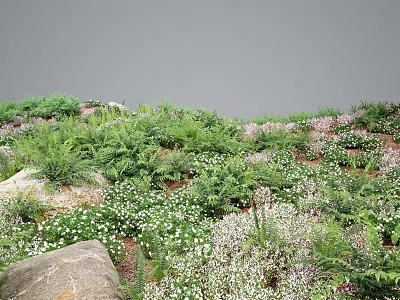 Lush Garden with Green Ferns White and Pink Small Flowers and Large Rocks 3d model
