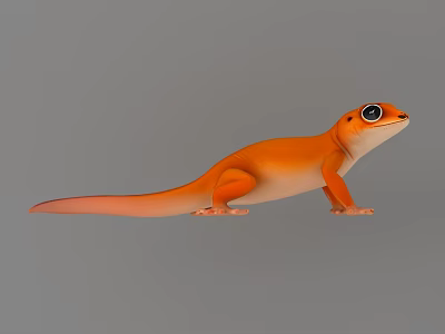 Orange Reptile Gecko With Large Eyes And Vivid Orange Body On Gray Background 3d model