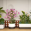 Stylish Indoor Plant Combinations With Purple Flowers Green Foliage White Planters And Wooden Lattice Background