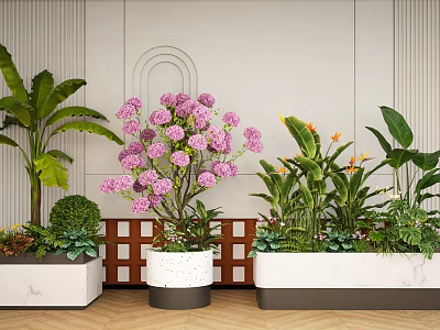 Stylish Indoor Plant Combinations With Purple Flowers Green Foliage White Planters And Wooden Lattice Background 3d model
