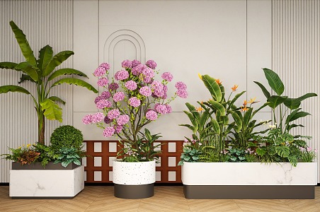 Green plant flower box flower pool flower bed flower border flower and grass flower box indoor plant landscaping plant combination plant pile 3d model