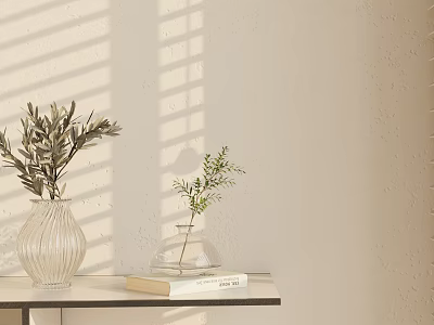 Clear Glass Vases with Olive Branches and Greenery on Table Against Textured Wall Sunlight Shadows 3d model