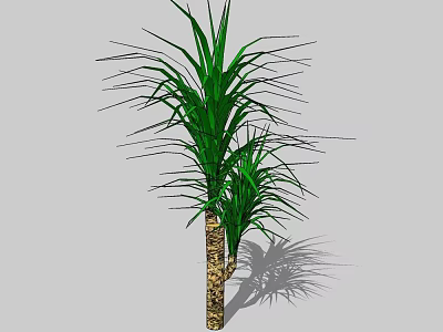 Tall Arbor With Long Green Leaves And Textured Trunk For Garden Landscaping 3d model