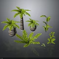 Various Decorative Plants Including Palm Trees Ferns And Small Greenery In Woven Pots